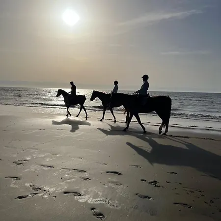 Petit A 3 Minutes A Pied De La Avec Terrasse Et Parking Privee Gratuit Prázdninový dům